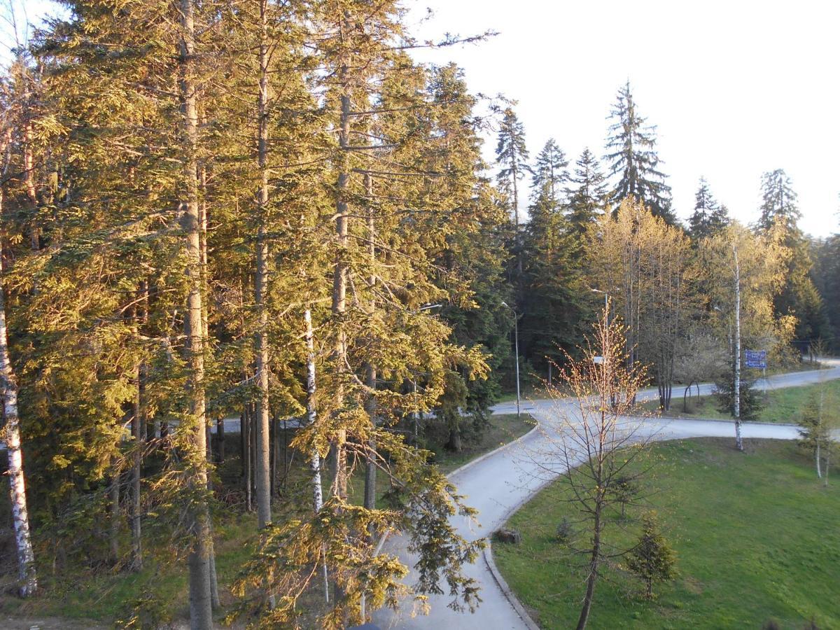 Nice Studio In "Borovets Gardens" Hotel Εξωτερικό φωτογραφία